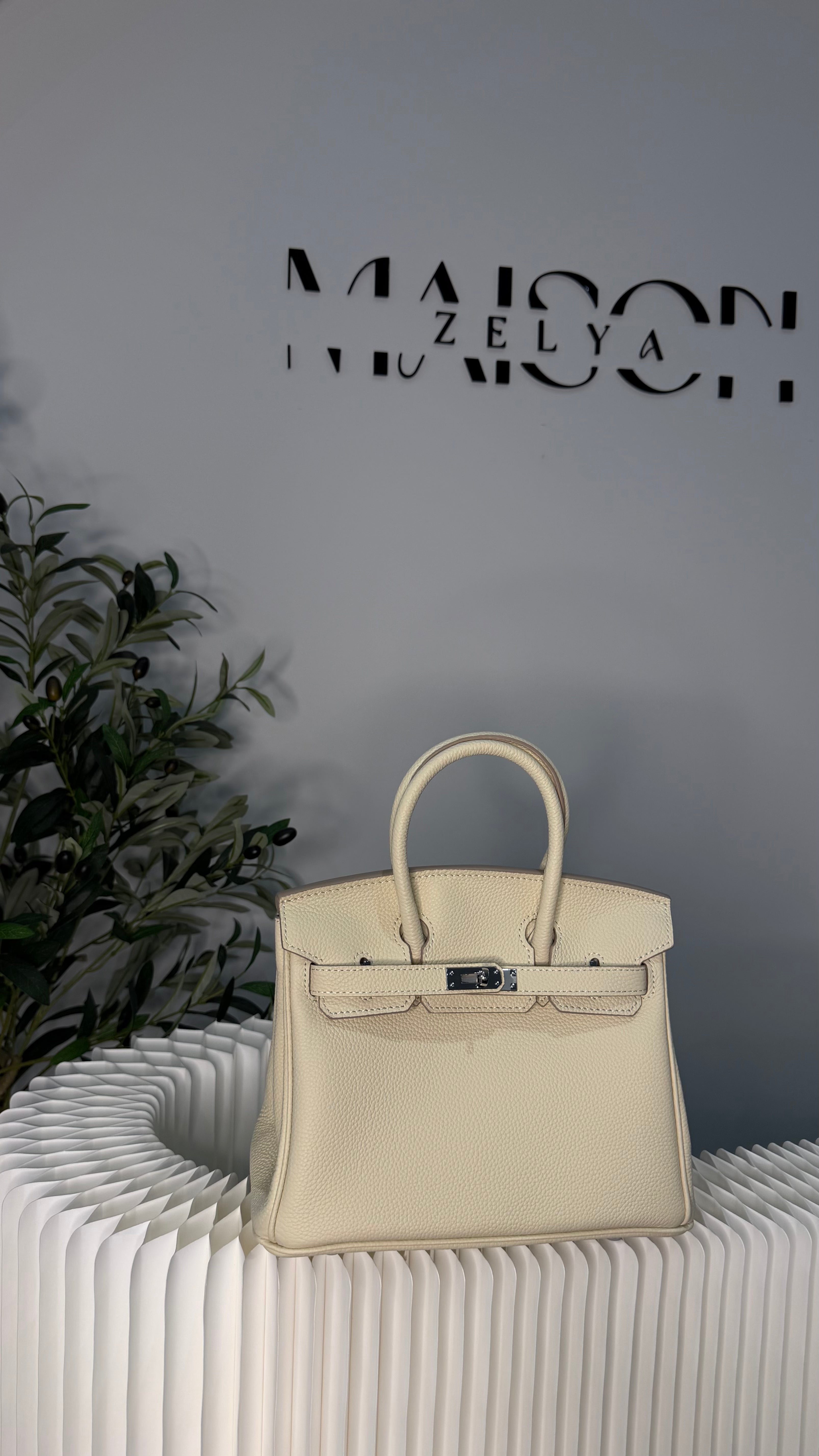 Sac Birkin 25cm